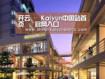 案例展示一(图1)